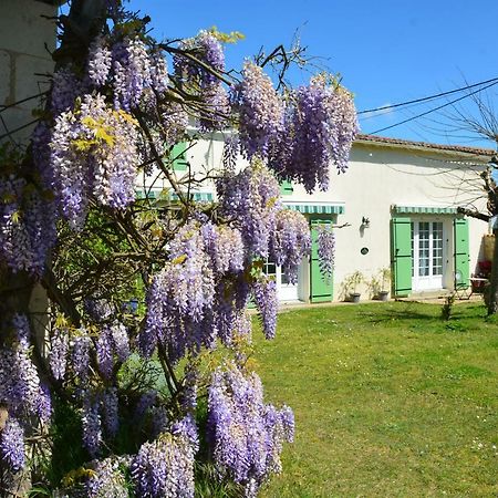Villa Le Petit Saule à Floirac  Extérieur photo
