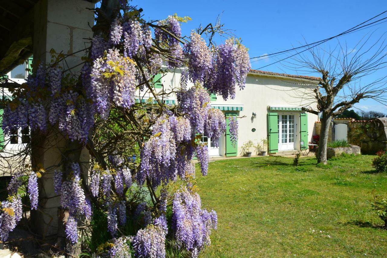 Villa Le Petit Saule à Floirac  Extérieur photo